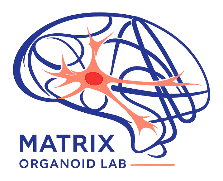 Matrix organoid logo